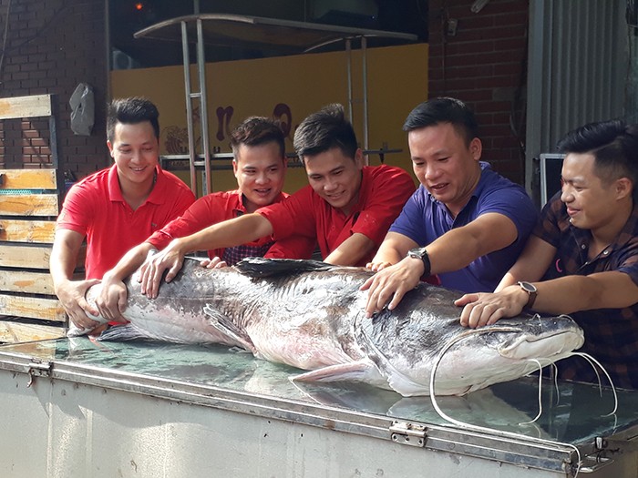 Nha hang Ha Noi mo ca lang hon 1 ta phuc vu thuc khach-Hinh-5